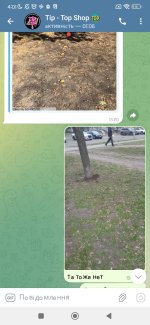 Screenshot_2025-02-12-04-01-21-465_org.telegram.messenger.jpg
