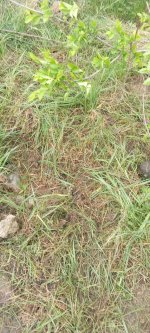 IMG_20240426_115913_439.jpg