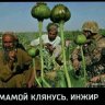 Караул50