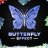 The Buttefly Effect